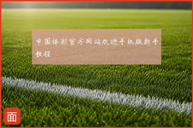中国体彩官方网站欢迎手机版新手教程