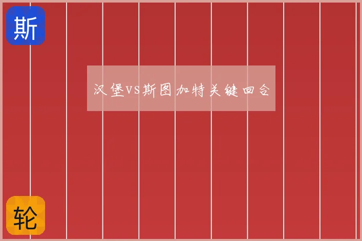 汉堡vs斯图加特关键回合